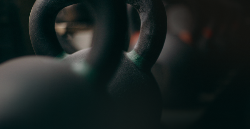 The booster, the essentials and the full tank: The Truth About BCAA, EAA, and Whey