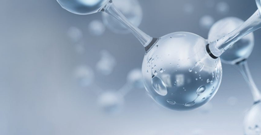 The Amino Acid Bottleneck: How We Misread the Science of Muscle